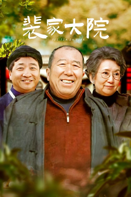 裴家大院海报