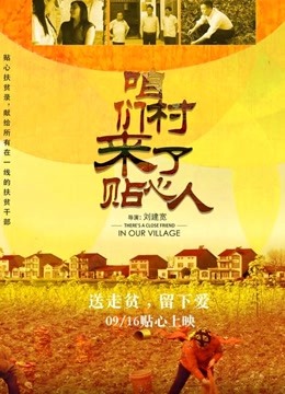 咱们村来了贴心人海报