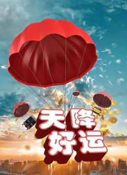 天降好运海报
