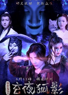 玄夜狐影海报