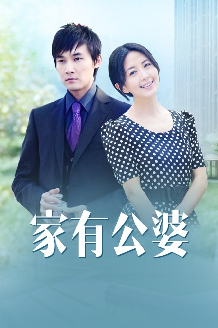 家有公婆海报