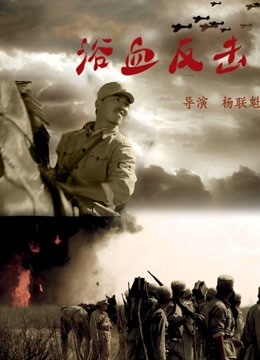 浴血反击海报