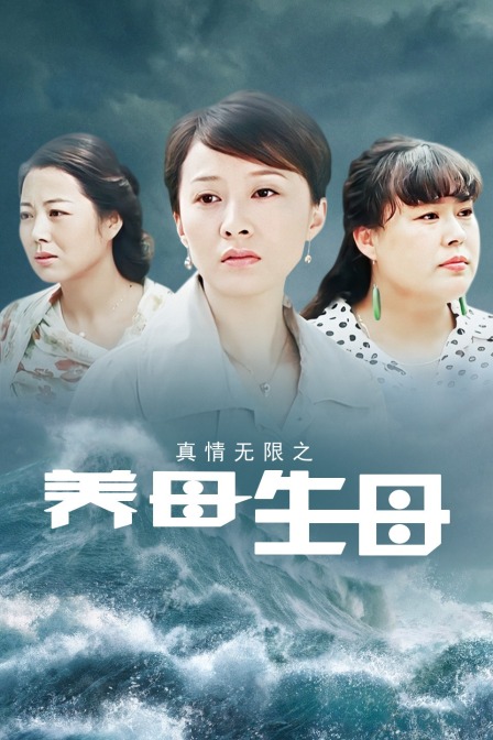 真情无限之养母生母海报