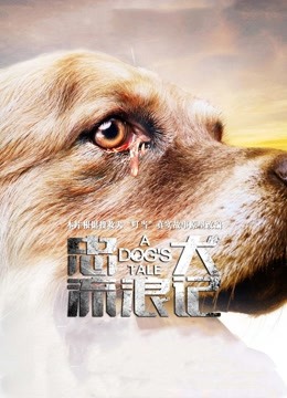 忠犬流浪记海报