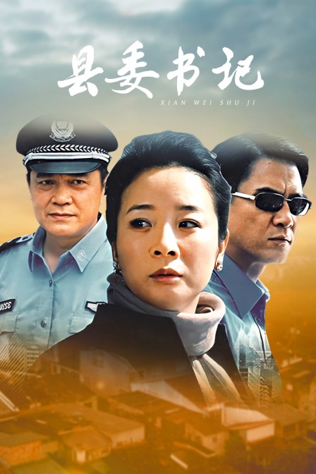 县委书记海报