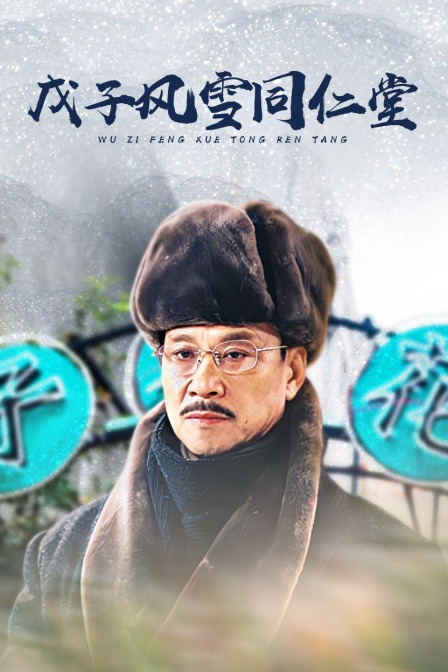戊子风雪同仁堂海报
