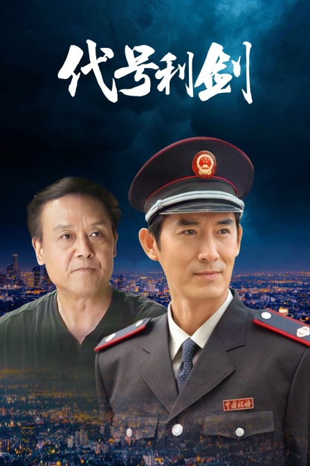 代号利剑海报