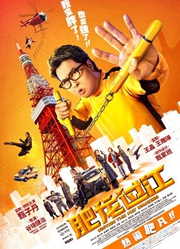 肥龙过江海报