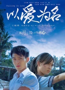 以爱为名海报