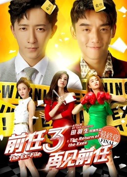 前任3：再见前任海报