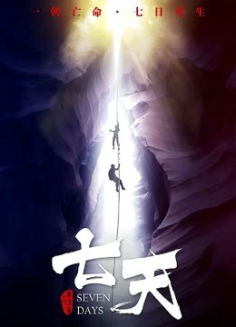 七天海报