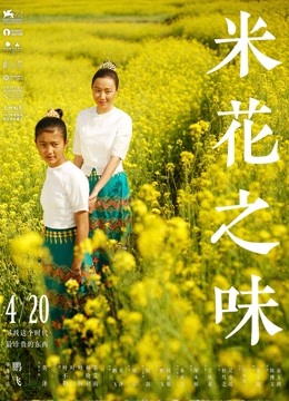 米花之味海报