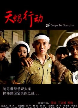天蝎行动海报
