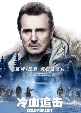 冷血追击海报