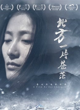 北方一片苍茫海报