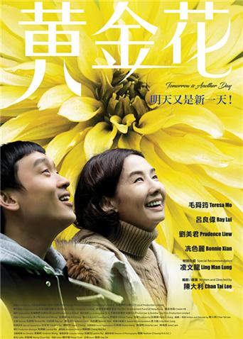 黄金花海报