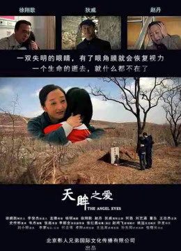 天眸之爱海报