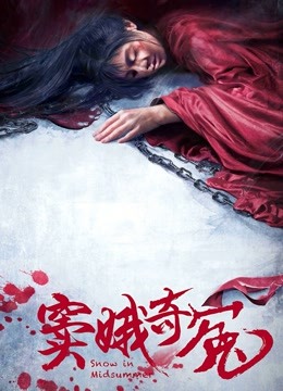 窦娥奇冤海报