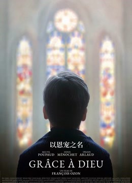 以恩宠之名海报