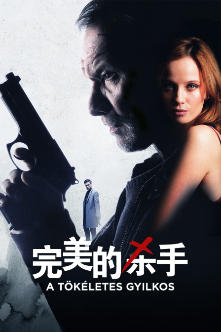 完美的杀手海报