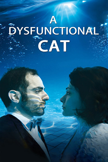 一只功能失调的猫海报