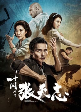 叶问外传：张天志海报