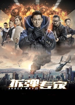 拆弹专家海报