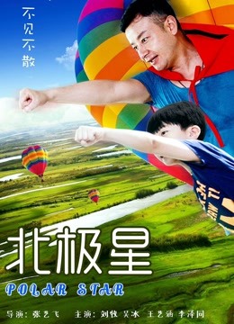 北极星海报
