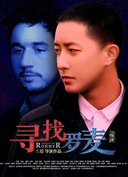 寻找罗麦海报