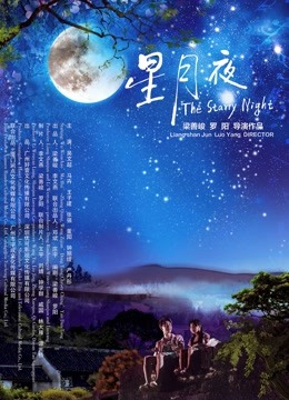 星月夜海报