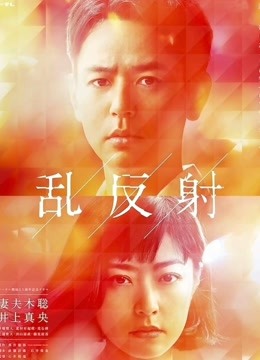 乱反射海报