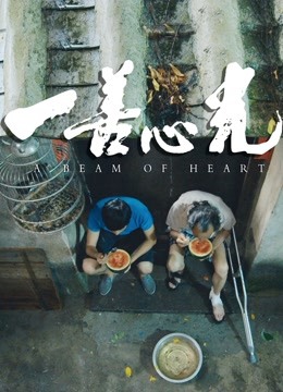 一善心光海报