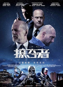 掠夺者海报