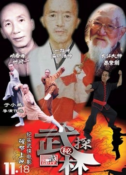 武林探秘海报