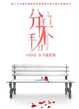 分手，不分手海报