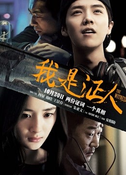 我是证人海报
