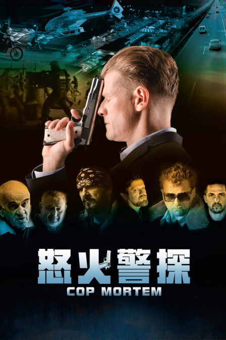 怒火警探海报