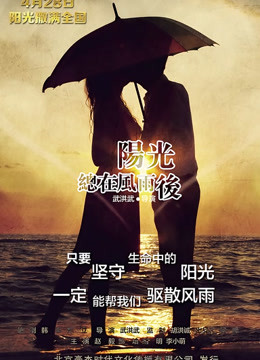 阳光总在风雨后海报