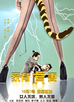 家有虎妻海报