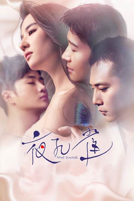 夜孔雀海报