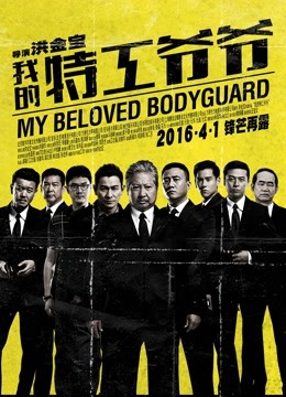 我的特工爷爷海报