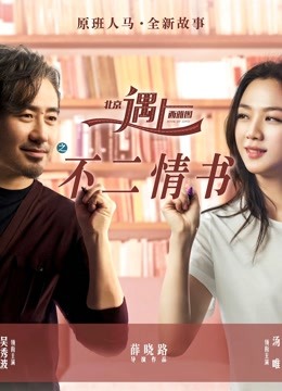 北京遇上西雅图之不二情书海报