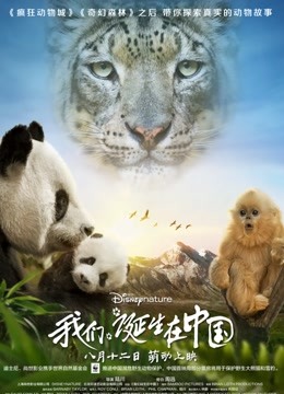 我们诞生在中国海报