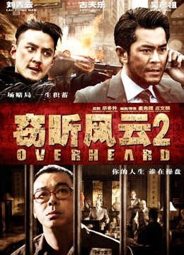 窃听风云2海报