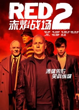 赤焰战场2海报