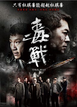 毒战海报