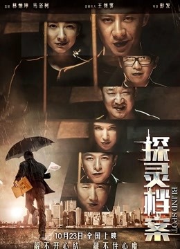 探灵档案海报