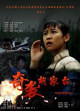 奇袭胡家台海报