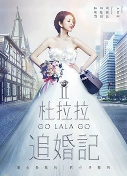杜拉拉追婚记海报