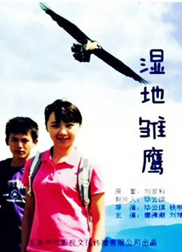 湿地雏鹰海报